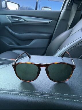 Persol Men's Tortoiseshell Sunglasses with Green Lenses